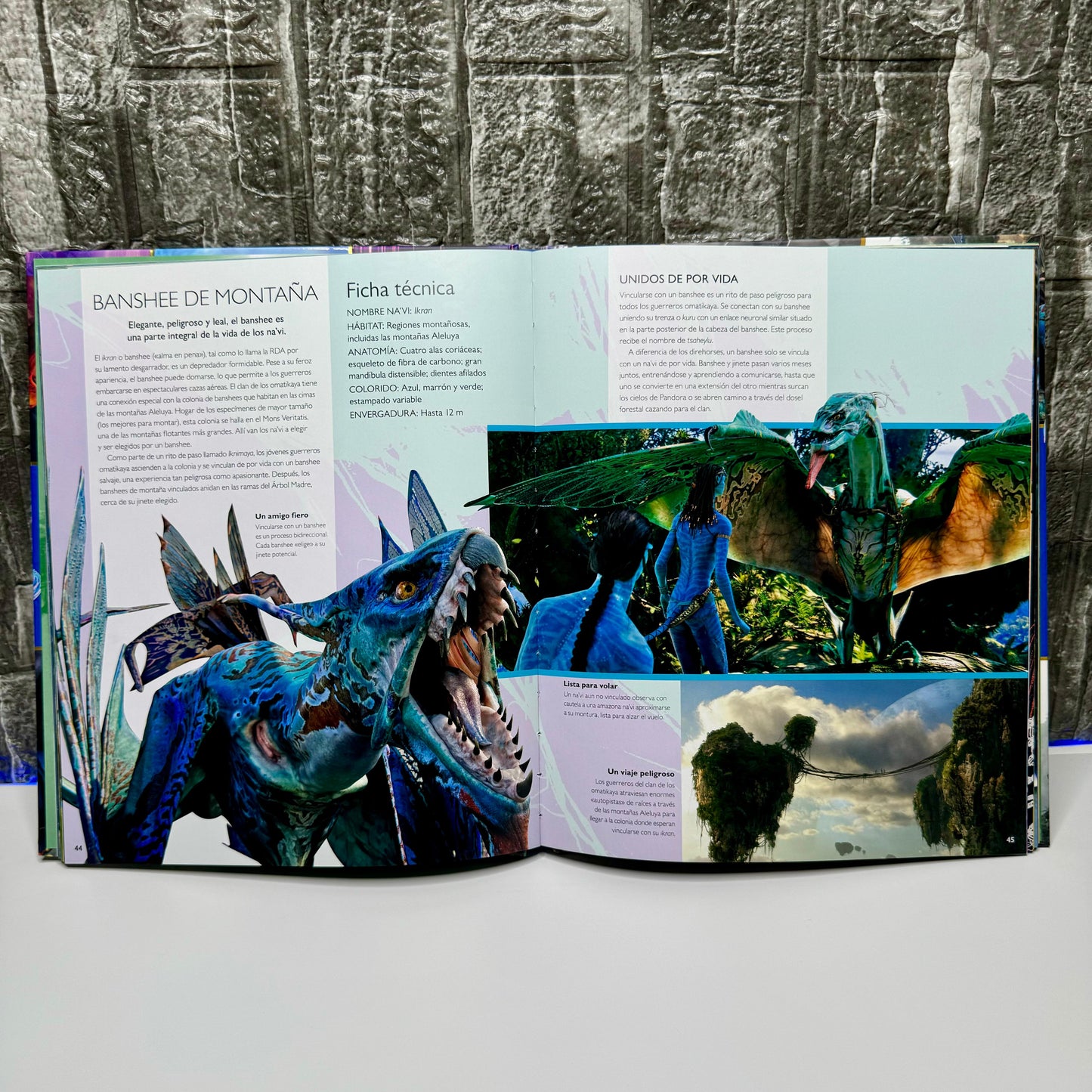 Enciclopedia Avatar®️ ⏐ Maestros del Aire, Agua, Tierra y Fuego