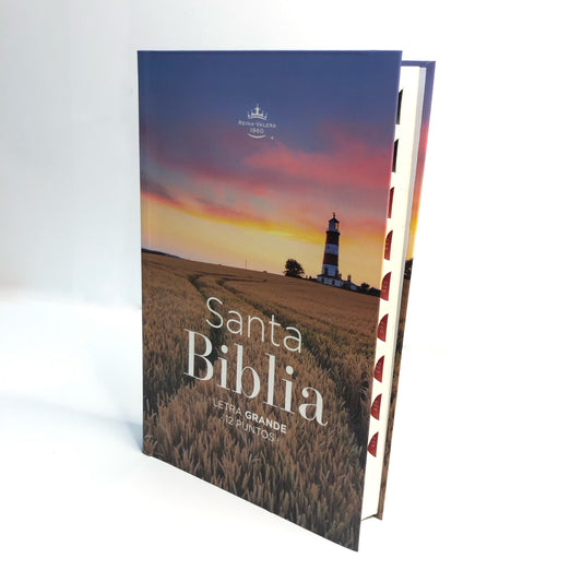10 nuevas ilustraciones de Jesús