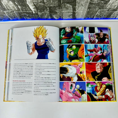 Dragon Ball®️ ⏐ Luz, Fogo e Destruição